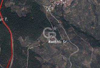 Bayındır Zeytinlik 1272 m2