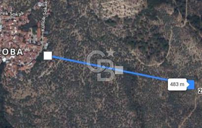 Bayındır Zeytinlik 1563 m2