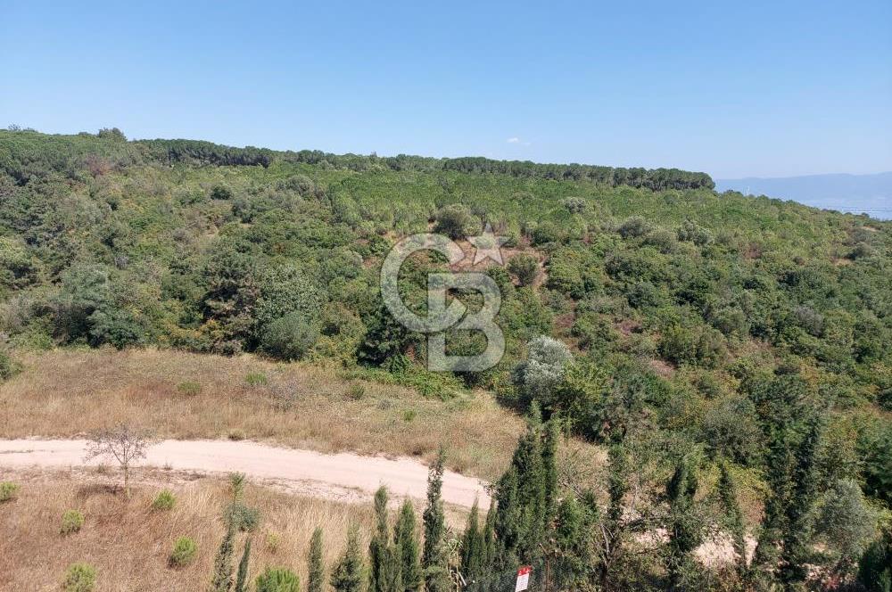 Barış Mahallesi Cemre Sitesinde Kiralık 3+1