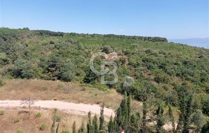 Barış Mahallesi Cemre Sitesinde Kiralık 3+1
