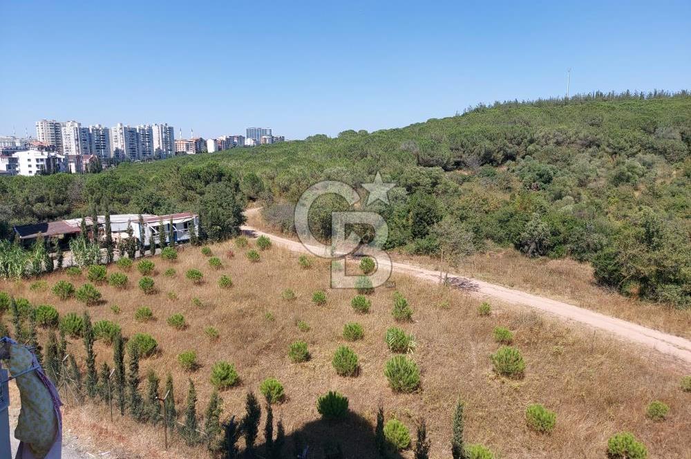 Barış Mahallesi Cemre Sitesinde Kiralık 3+1