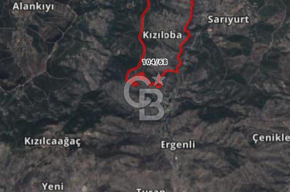 Bayındır Zeytinlik 1272 m2
