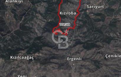 Bayındır Zeytinlik 1272 m2