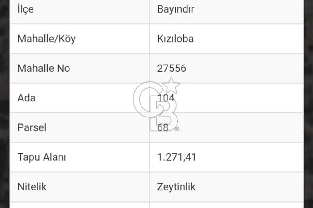 Bayındır Zeytinlik 1272 m2