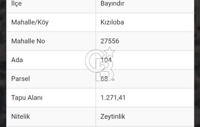 Bayındır Zeytinlik 1272 m2