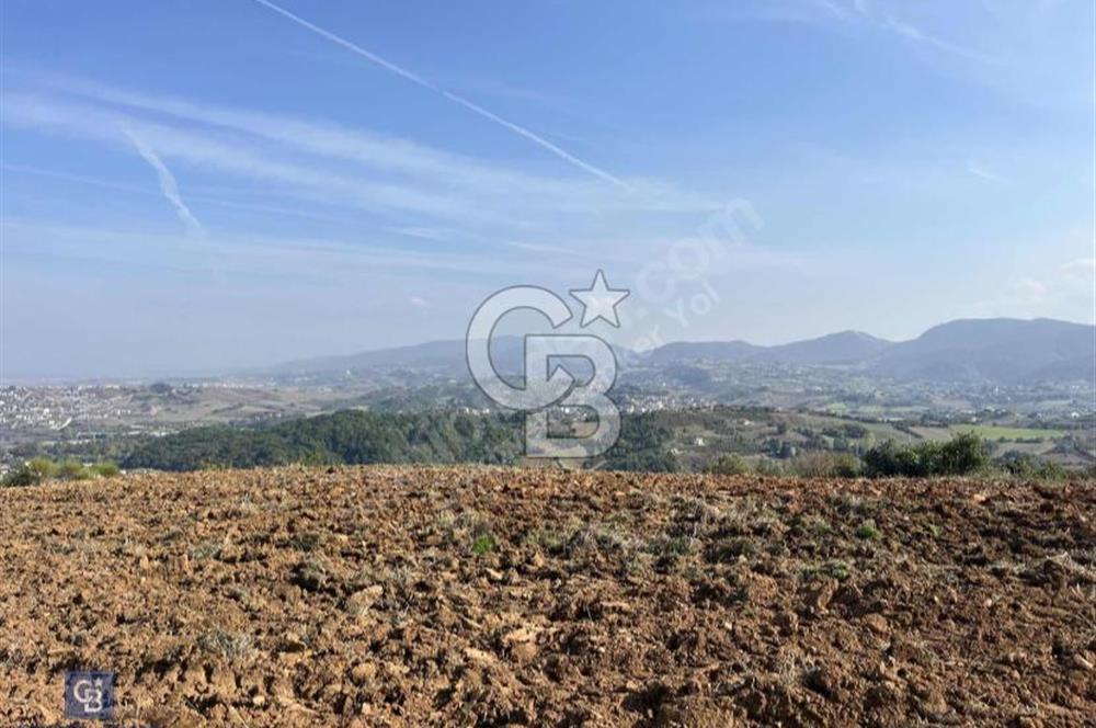 YALOVA TERMAL AKKÖY'DE ŞEHİR MANZARALI 450 M2 ARSA
