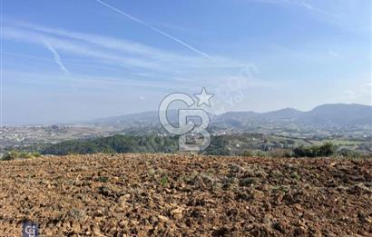 YALOVA TERMAL AKKÖY'DE ŞEHİR MANZARALI 450 M2 ARSA