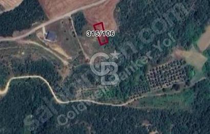 YALOVA TERMAL AKKÖY'DE ŞEHİR MANZARALI 450 M2 ARSA