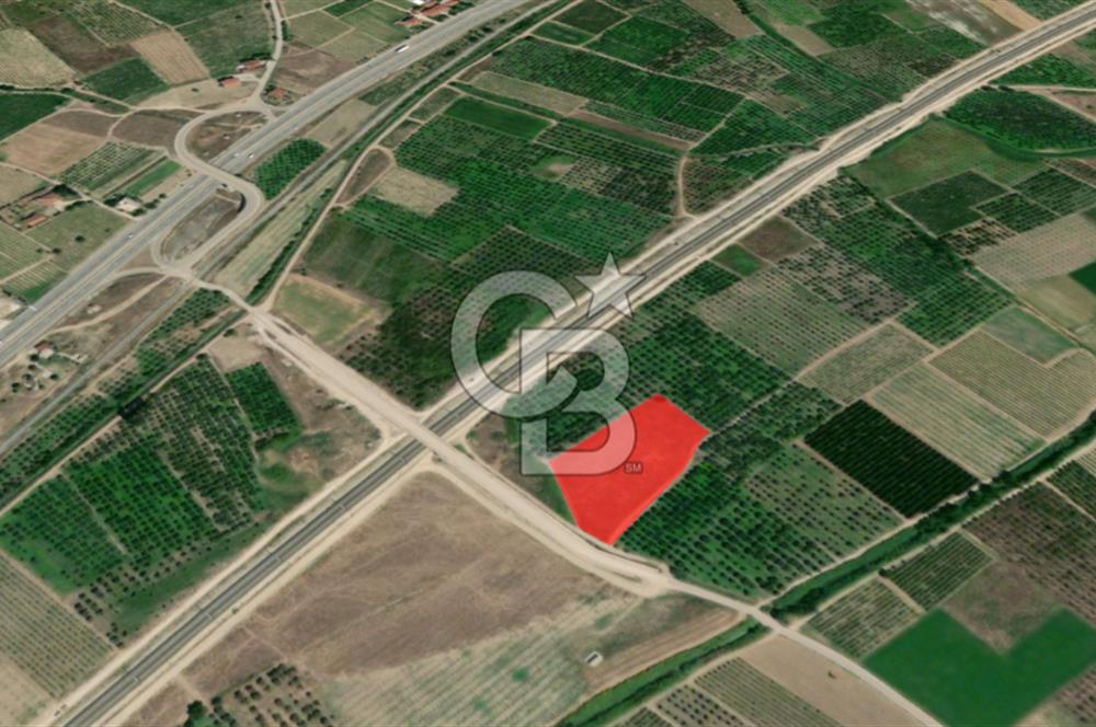 Adapazarı - Bilecik Yolu Yakını Sondajlı ve Meyve Ağaçlı Arazi