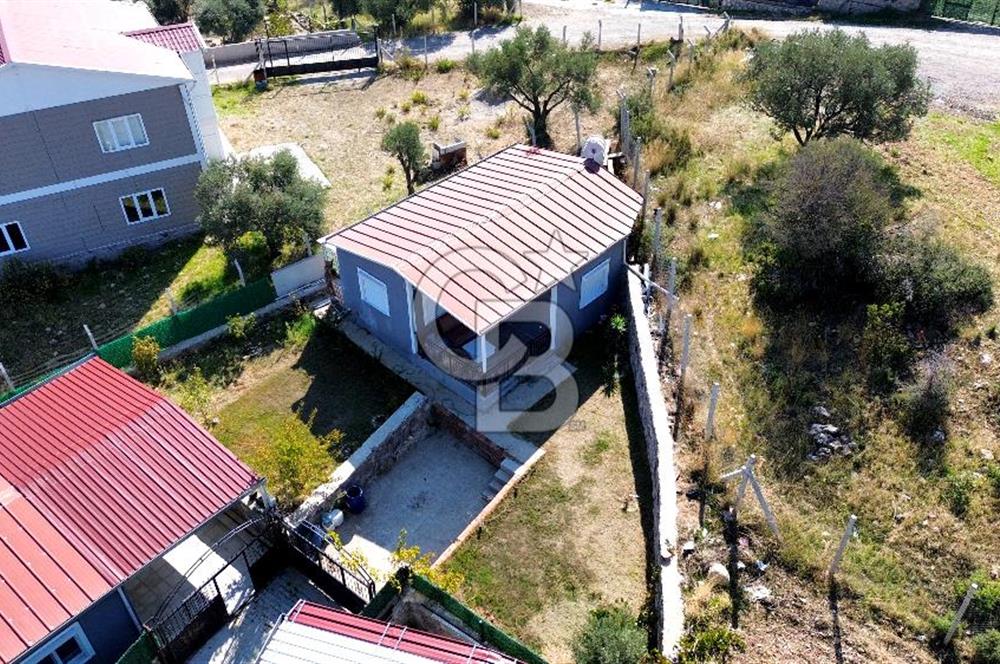 BUCA BELENBAŞINDA TAPULU TARLA