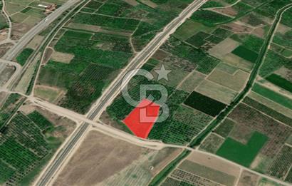 Adapazarı - Bilecik Yolu Yakını Sondajlı ve Meyve Ağaçlı Arazi