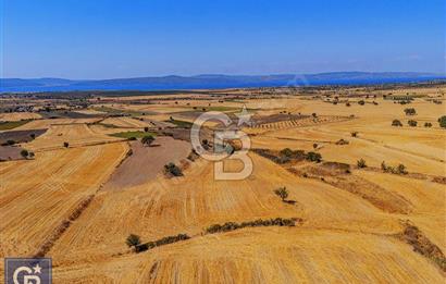 MERKEZ ÖZBEK'TE MUHTEŞEM LOKASYONDA FIRSAT ARAZİ