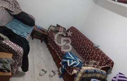İZMİT KURTDERE'DE DOĞA İÇİNDE GÖZLERDEN UZAK YAŞAM ALANI!