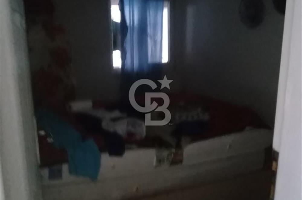 İZMİT KURTDERE'DE DOĞA İÇİNDE GÖZLERDEN UZAK YAŞAM ALANI!