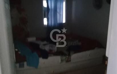 İZMİT KURTDERE'DE DOĞA İÇİNDE GÖZLERDEN UZAK YAŞAM ALANI!