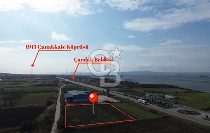 SATILIK YATIRIMLIK TARLA – ÇANAKKALE / LAPSEKİ / ÇARDAK