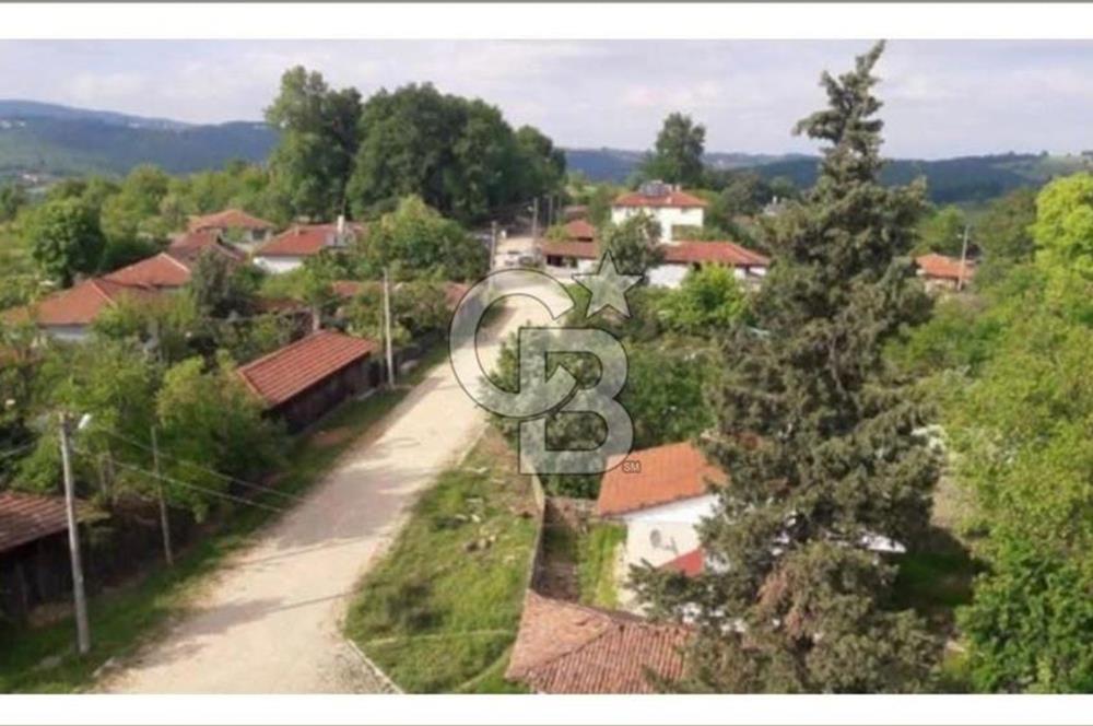 İZMİT KURTDERE'DE DOĞA İÇİNDE GÖZLERDEN UZAK YAŞAM ALANI!
