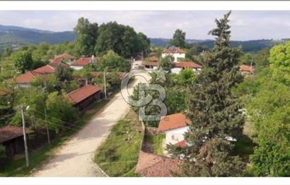 İZMİT KURTDERE'DE DOĞA İÇİNDE GÖZLERDEN UZAK YAŞAM ALANI!