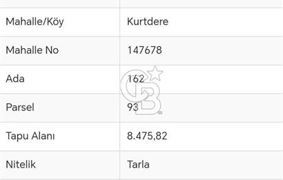 İZMİT KURTDERE'DE DOĞA İÇİNDE GÖZLERDEN UZAK YAŞAM ALANI!
