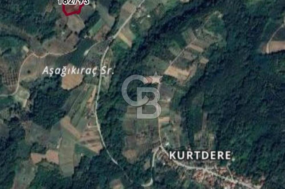 İZMİT KURTDERE'DE DOĞA İÇİNDE GÖZLERDEN UZAK YAŞAM ALANI!