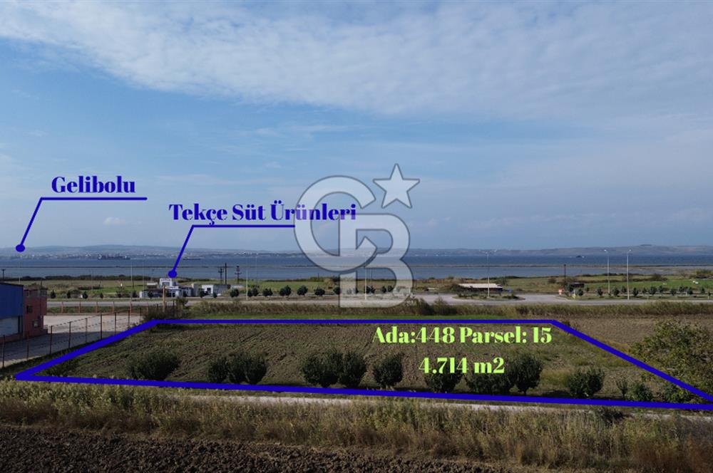SATILIK YATIRIMLIK TARLA – ÇANAKKALE / LAPSEKİ / ÇARDAK
