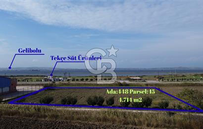 SATILIK YATIRIMLIK TARLA – ÇANAKKALE / LAPSEKİ / ÇARDAK