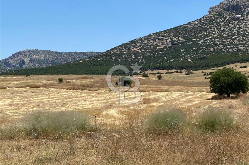 Korkuteli Yeşilyayla köyünde yatırımlık arazi