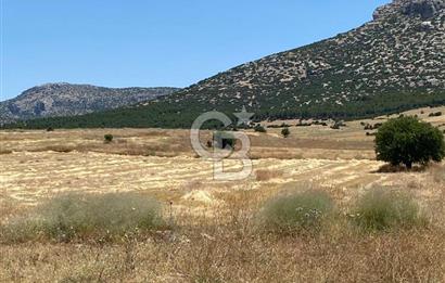 Korkuteli Yeşilyayla köyünde yatırımlık arazi