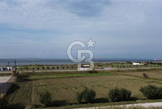 SATILIK YATIRIMLIK TARLA – ÇANAKKALE / LAPSEKİ / ÇARDAK