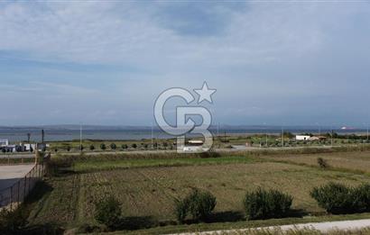 SATILIK YATIRIMLIK TARLA – ÇANAKKALE / LAPSEKİ / ÇARDAK