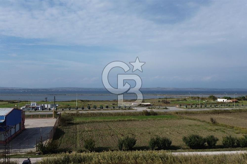 SATILIK YATIRIMLIK TARLA – ÇANAKKALE / LAPSEKİ / ÇARDAK