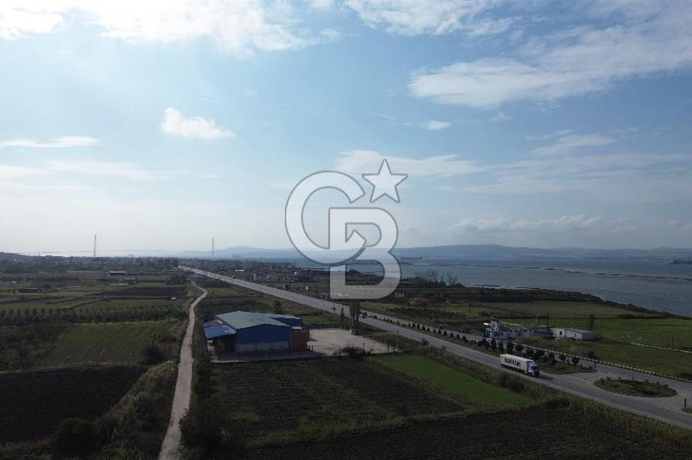 SATILIK YATIRIMLIK TARLA – ÇANAKKALE / LAPSEKİ / ÇARDAK
