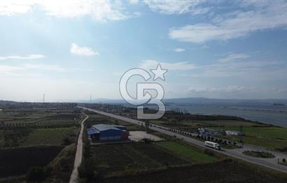 SATILIK YATIRIMLIK TARLA – ÇANAKKALE / LAPSEKİ / ÇARDAK