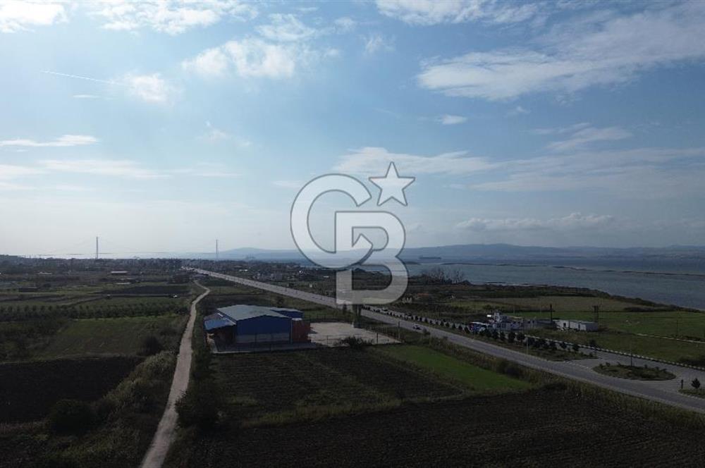SATILIK YATIRIMLIK TARLA – ÇANAKKALE / LAPSEKİ / ÇARDAK