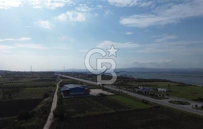 SATILIK YATIRIMLIK TARLA – ÇANAKKALE / LAPSEKİ / ÇARDAK