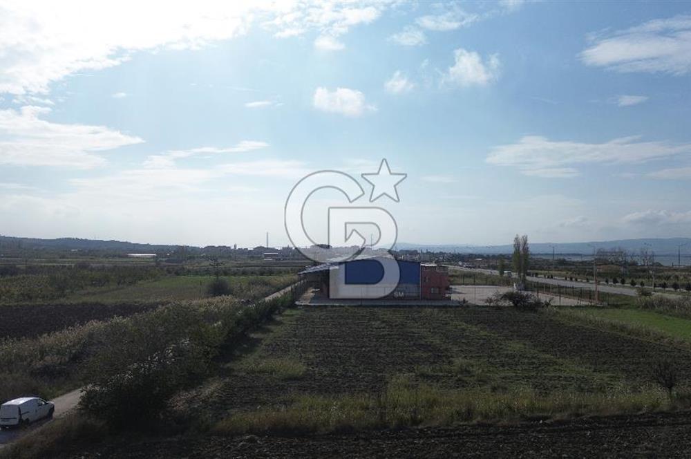 SATILIK YATIRIMLIK TARLA – ÇANAKKALE / LAPSEKİ / ÇARDAK