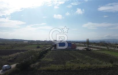 SATILIK YATIRIMLIK TARLA – ÇANAKKALE / LAPSEKİ / ÇARDAK