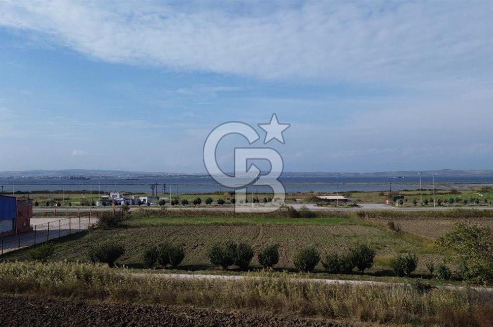 SATILIK YATIRIMLIK TARLA – ÇANAKKALE / LAPSEKİ / ÇARDAK