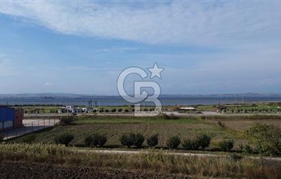 SATILIK YATIRIMLIK TARLA – ÇANAKKALE / LAPSEKİ / ÇARDAK