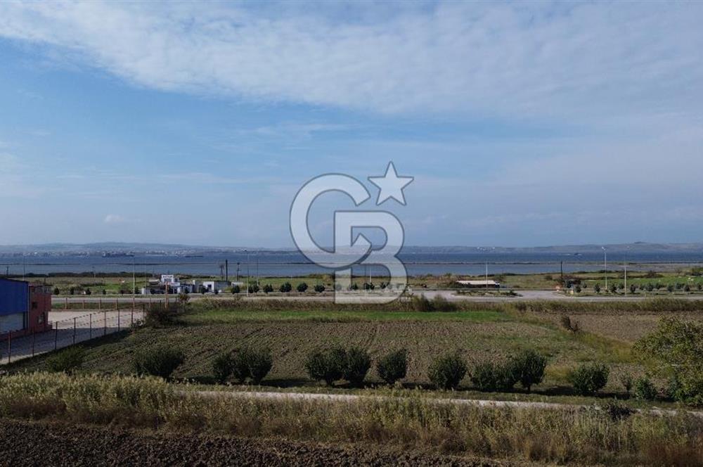 SATILIK YATIRIMLIK TARLA – ÇANAKKALE / LAPSEKİ / ÇARDAK