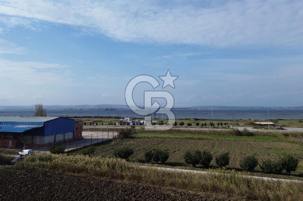 SATILIK YATIRIMLIK TARLA – ÇANAKKALE / LAPSEKİ / ÇARDAK