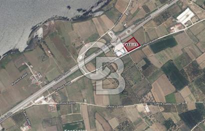 SATILIK YATIRIMLIK TARLA – ÇANAKKALE / LAPSEKİ / ÇARDAK