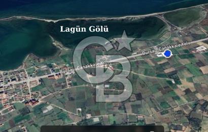SATILIK YATIRIMLIK TARLA – ÇANAKKALE / LAPSEKİ / ÇARDAK