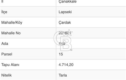 SATILIK YATIRIMLIK TARLA – ÇANAKKALE / LAPSEKİ / ÇARDAK