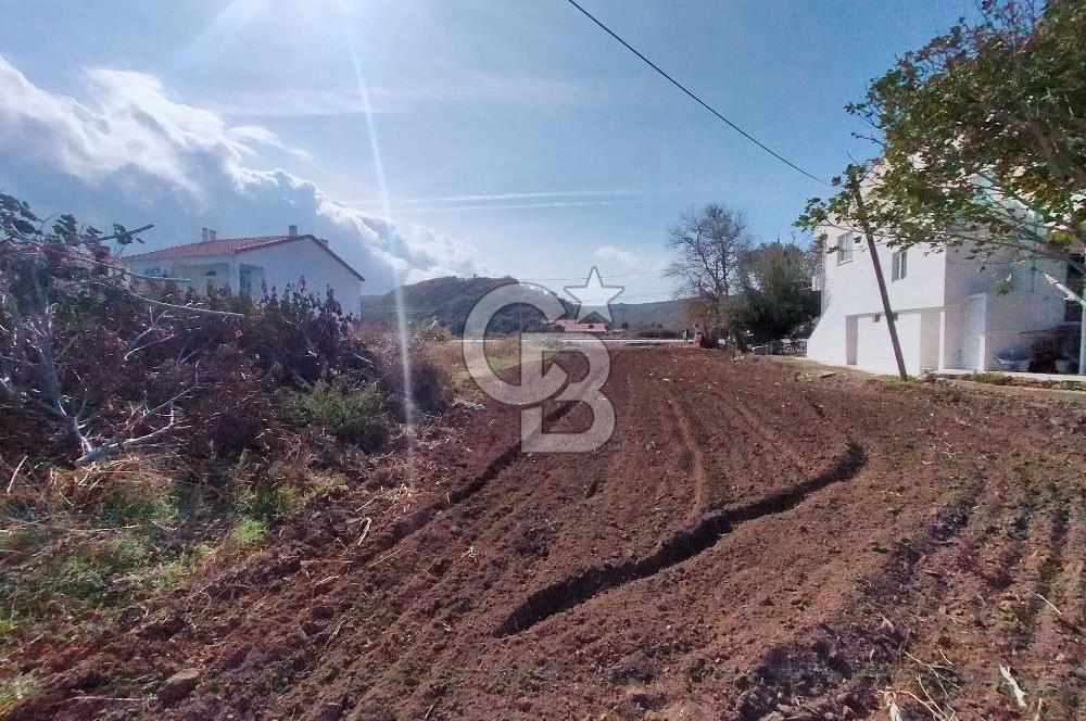 ÇANAKKALE LAPSEKİ GÜRECEDE DENİZE 130 METREDE ARSA