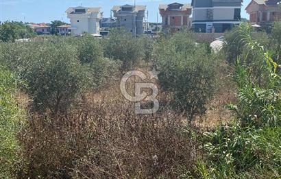 ANTALYA Kadriye 'de Fırsat Villa Arsası
