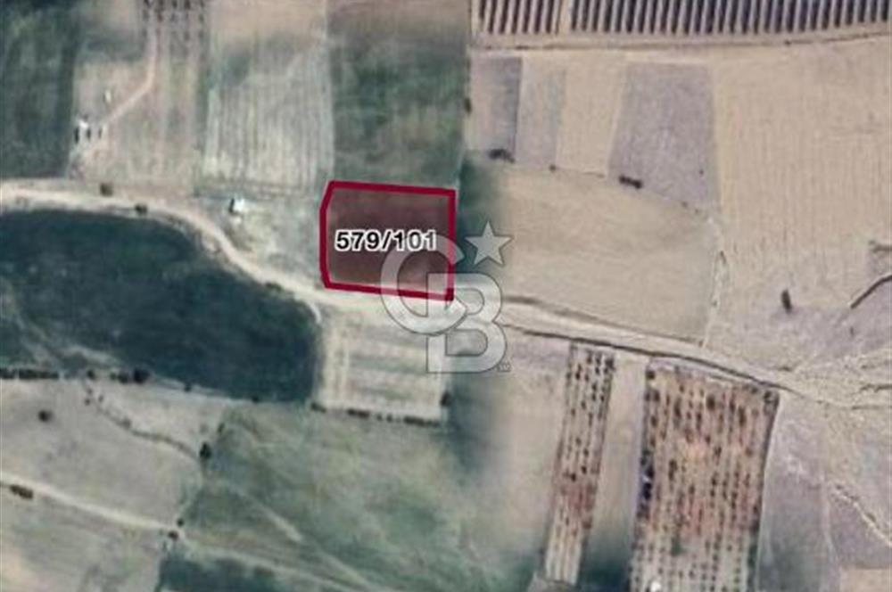 Korkuteli Yeşilyayla köyünde yatırımlık arazi