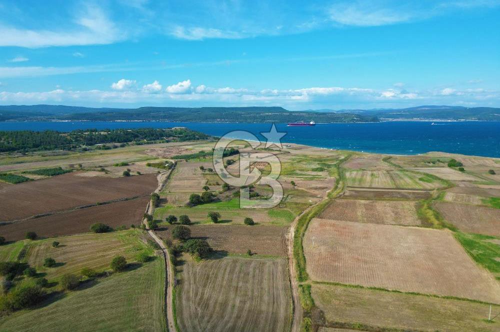 Çanakkale Karacaören de Denize 160 Metre Mesafede 5.562 m² Yatırımlık Tarla!