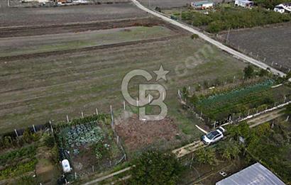 GÖKÇEALİ MAHALLESİ SATILIK 486 M2 TARLA 
