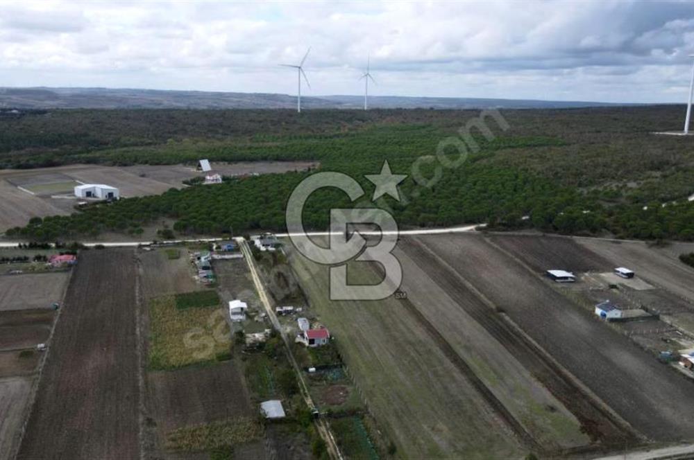 GÖKÇEALİ MAHALLESİ SATILIK 486 M2 TARLA 